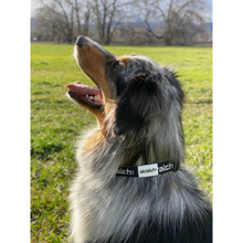 Load image into Gallery viewer, Dog Collar