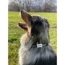 Load image into Gallery viewer, Dog Collar
